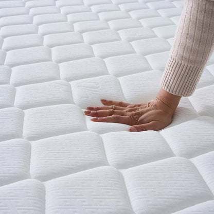 ce520fab74ea65bd7ce1985ef04301ff